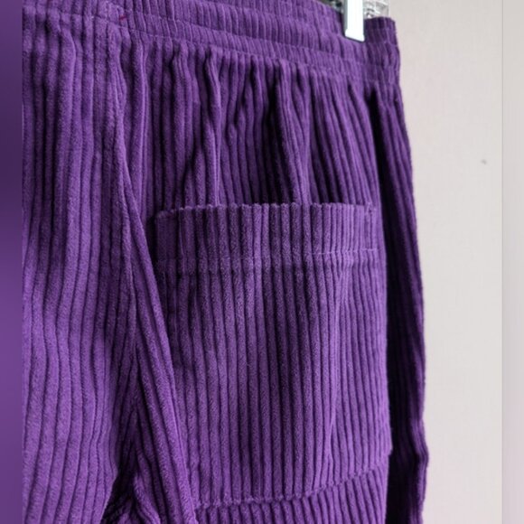 BDG corduroy purple pants - Picture 3 of 7
